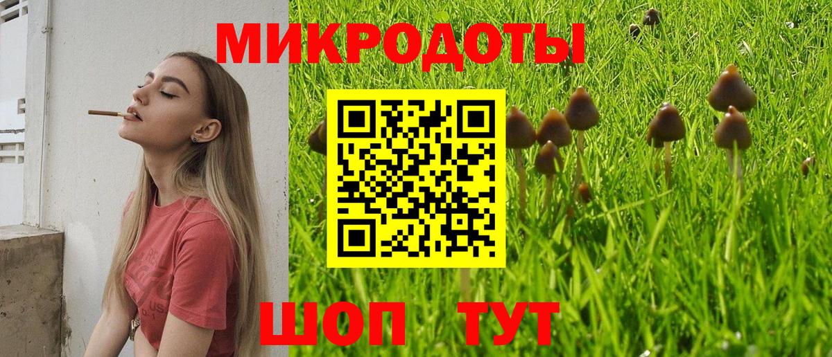 Псилоцибиновые грибы Psilocybe Жигулёвск