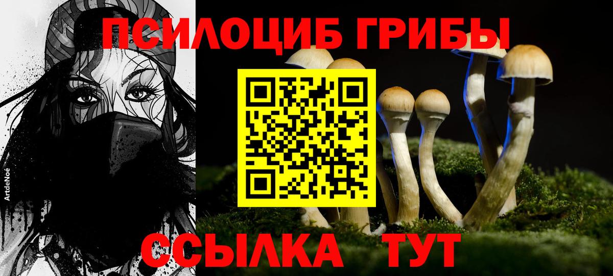 Галлюциногенные грибы мицелий  где купить   Жигулёвск  Вход с VPN 